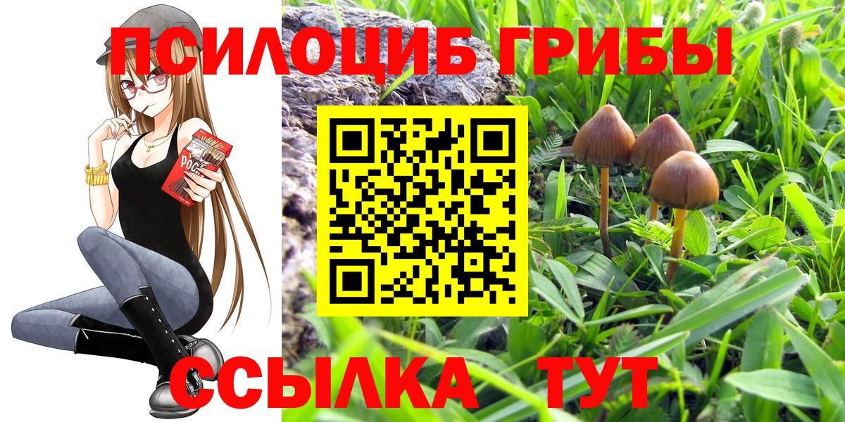 Галлюциногенные грибы GOLDEN TEACHER  Вход с VPN  Кубинка 