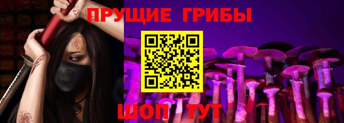 Галлюциногенные грибы Psilocybine cubensis Кубинка